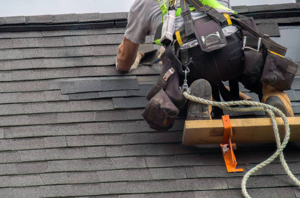 Roof Gutter Cleaning in Flordell Hills, MO